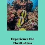 Sea scooter snorkeling O'ahu